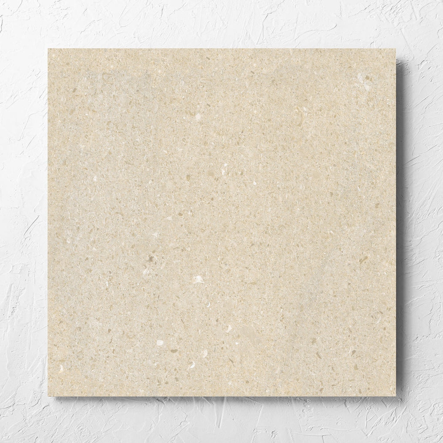 Bayside Sand Shell Matt 600x600mm tile laid flat on a white rendered wall, showing the matt surface