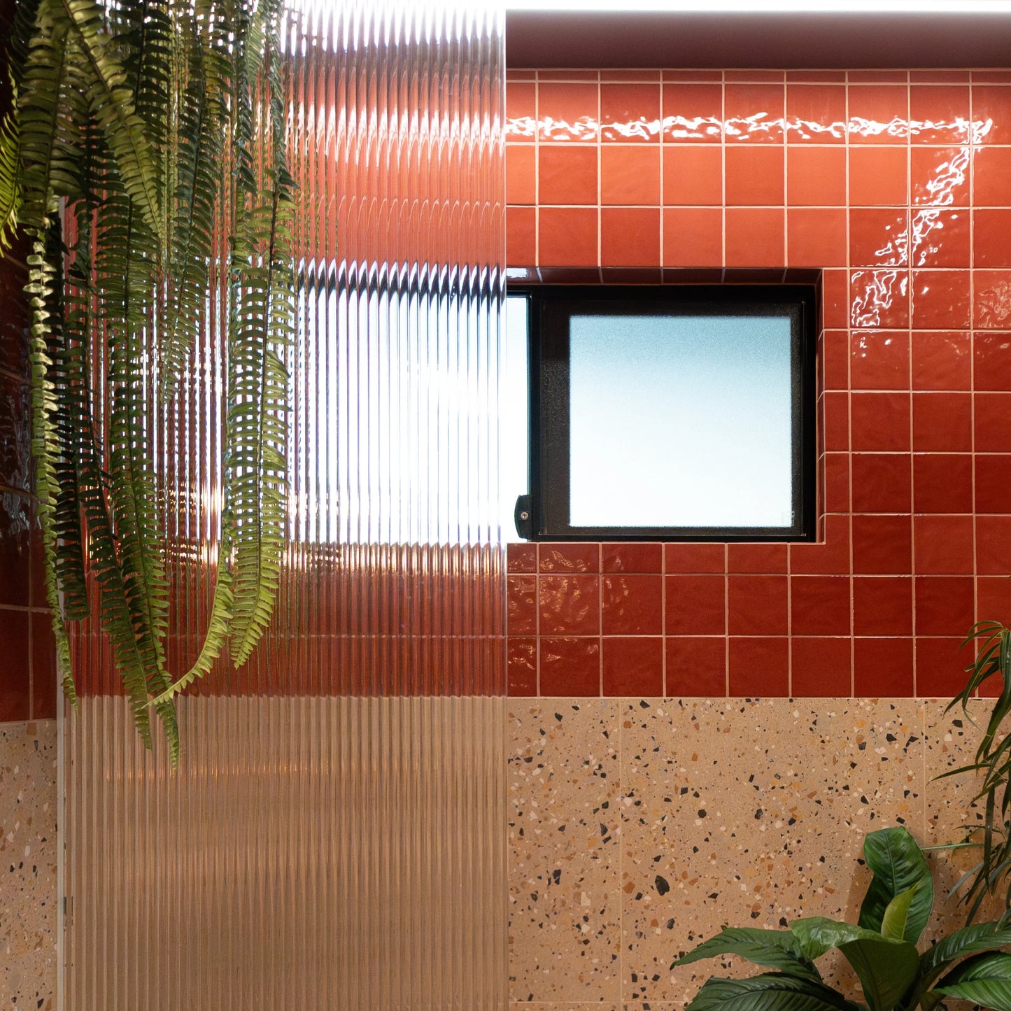 Casablanca Red Gloss 120x120mm tiles installed in a bathroom with terrazzo lower wall, fluted glass shower screen, and trailing fern plant.