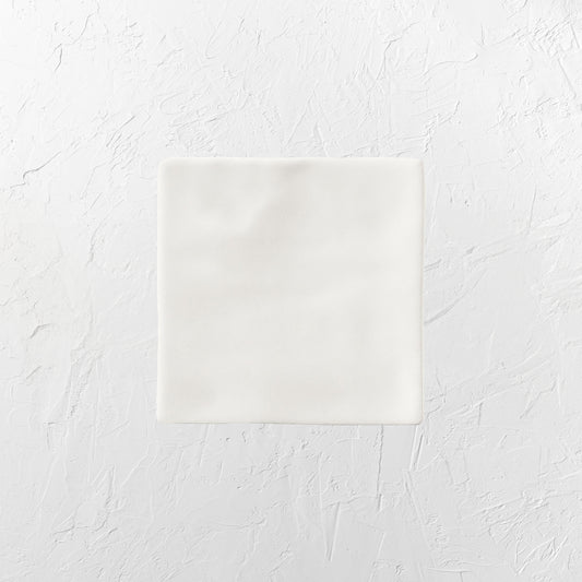 Luxe Ash Grey Matt 100x100mm