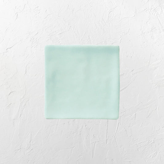 Luxe Mint Matt 100x100mm