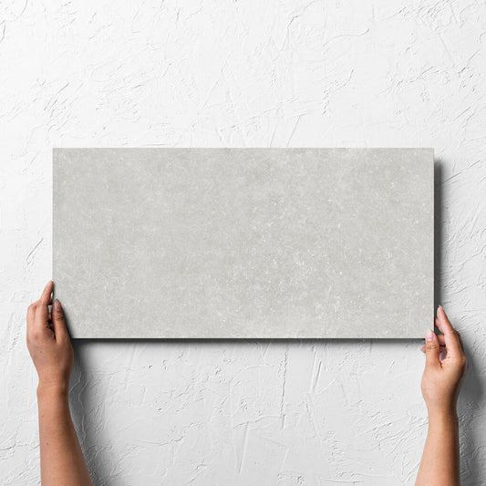 Plazzo Silver Matt 300x600mm