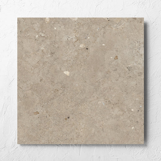 Brescia Earth Grigio Matt 600x600mm