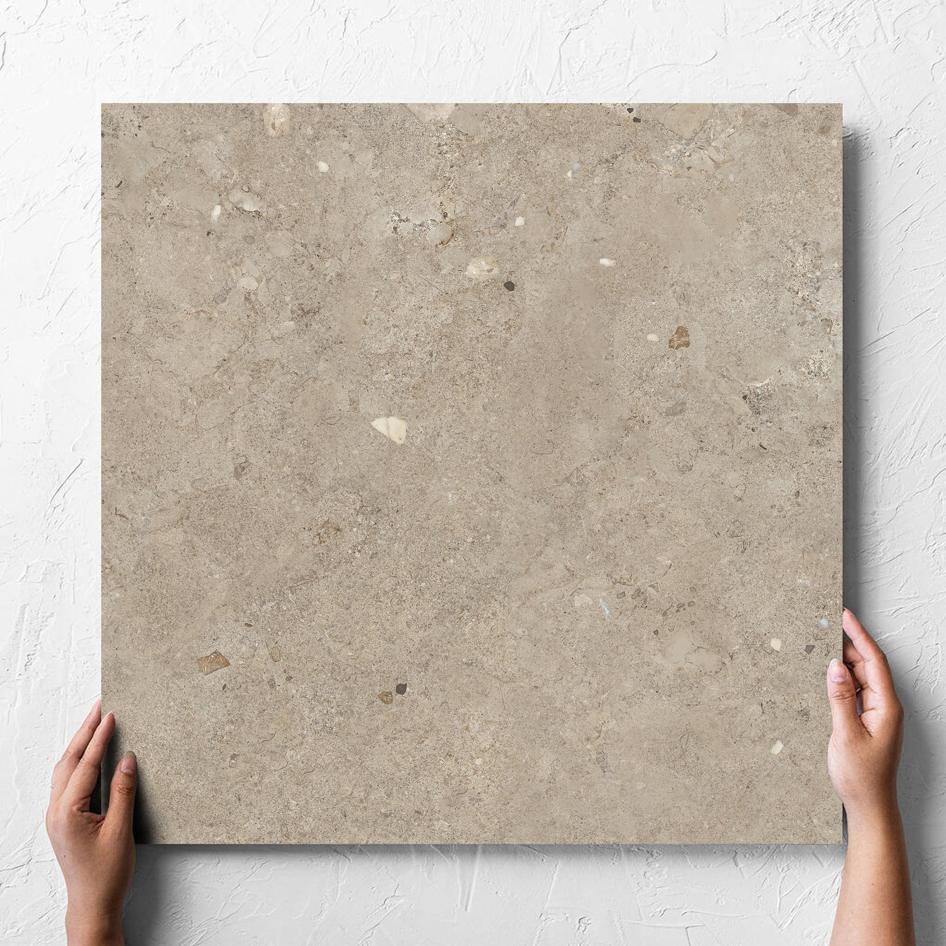 Brescia Earth Grigio Matt 600x600mm hand 1