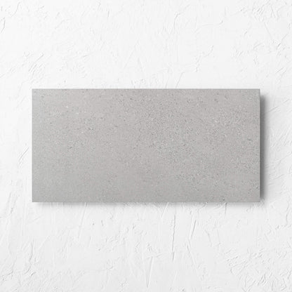 Moonstone Pumice Matte 300x600mm