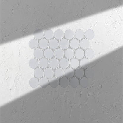 White Matte Porcelain Glazed Penny Round 48mm