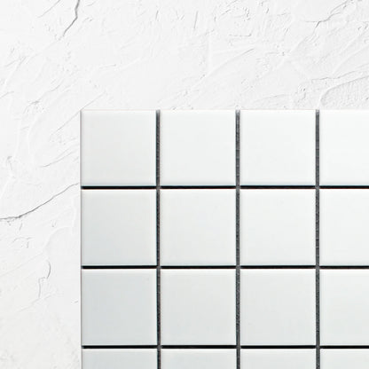 White Matte Porcelain Glazed 48x48mm Square