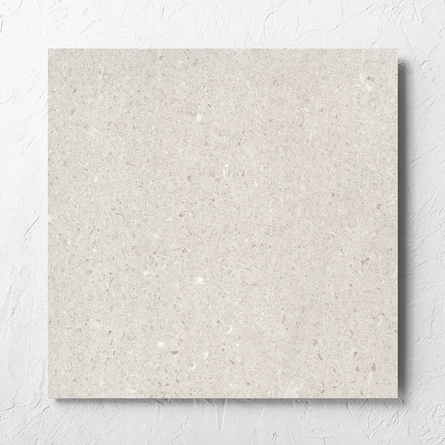 Bayside Champagne Shell Matt 600x600mm tile laid flat on a white rendered wall, showing the matt surface
