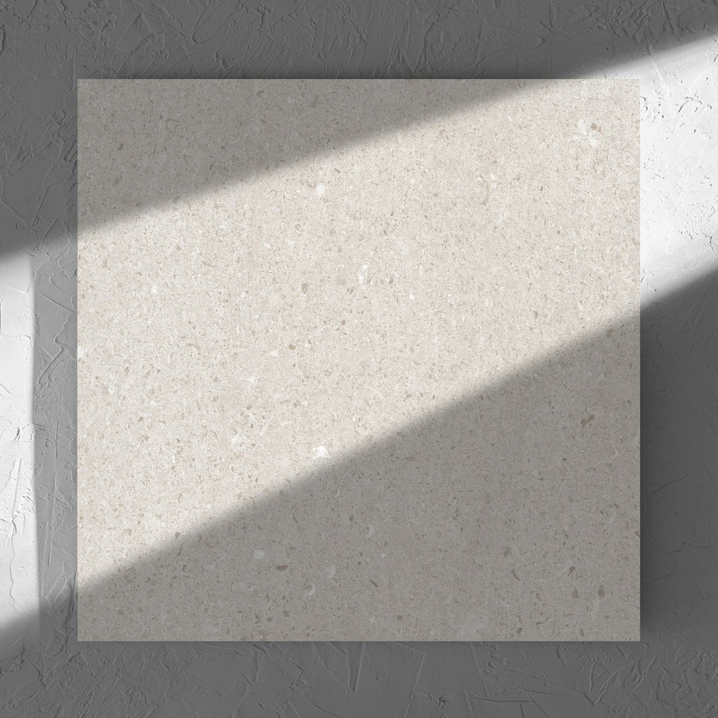 Bayside Champagne Shell Matt 600x600mm tile in soft natural window light, showing the matt surface