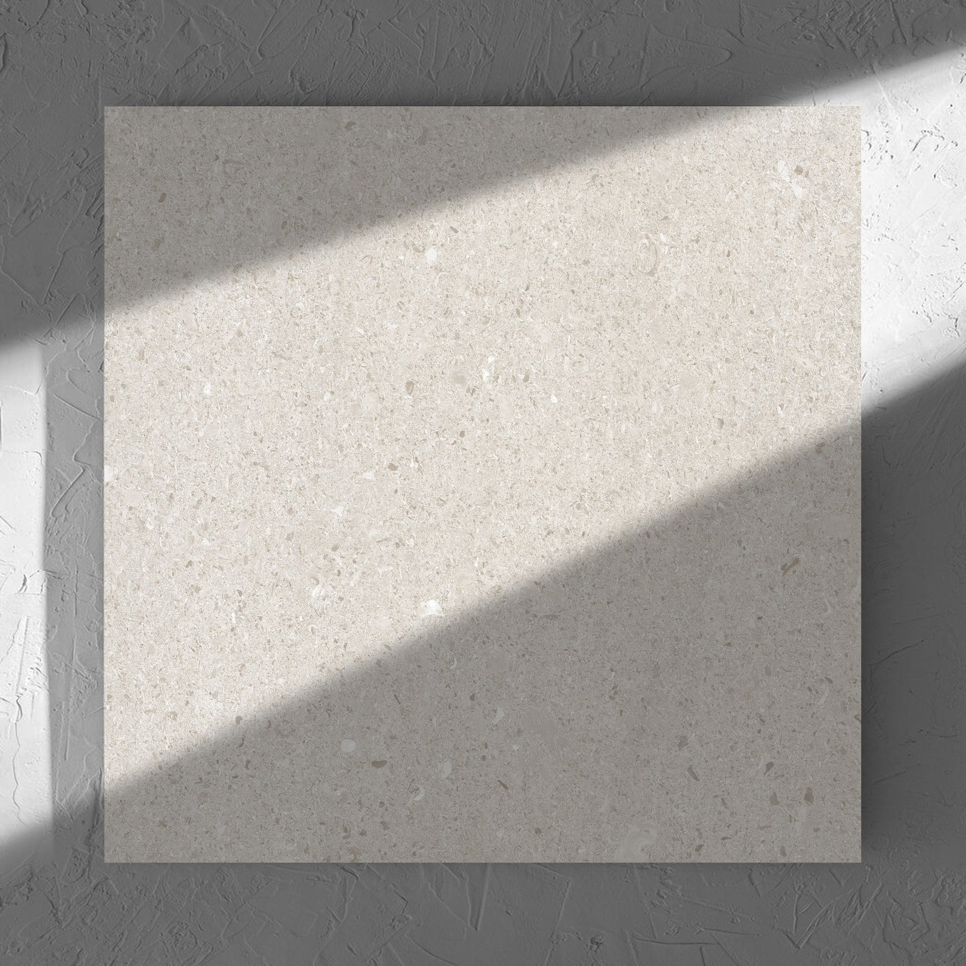Bayside Champagne Shell Matt 600x600mm tile in soft natural window light, showing the matt surface