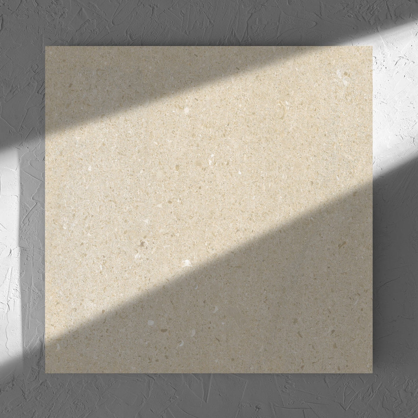 Bayside Sand Shell Matt 600x600mm tile in soft natural window light, showing the matt surface