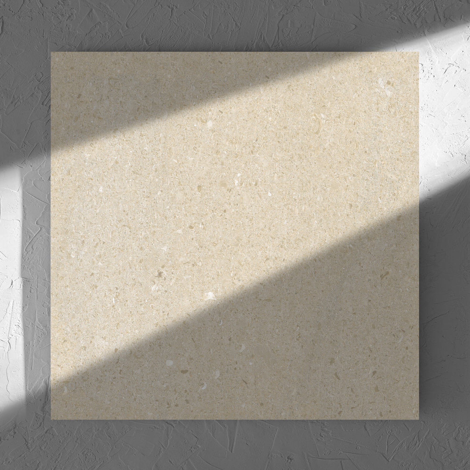 Bayside Sand Shell Matt 600x600mm tile in soft natural window light, showing the matt surface