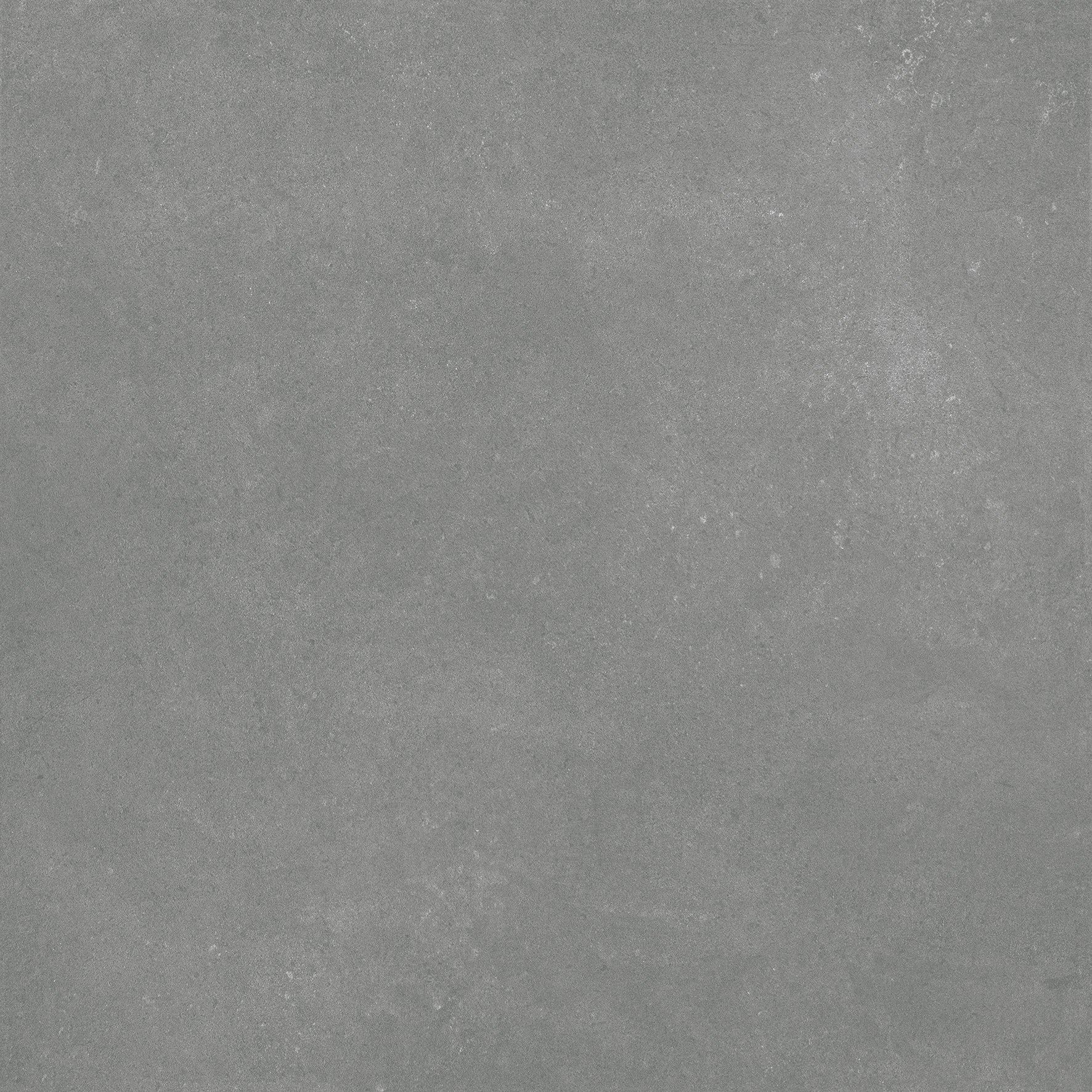 Carnarvon Grey Matt External 450x450mm