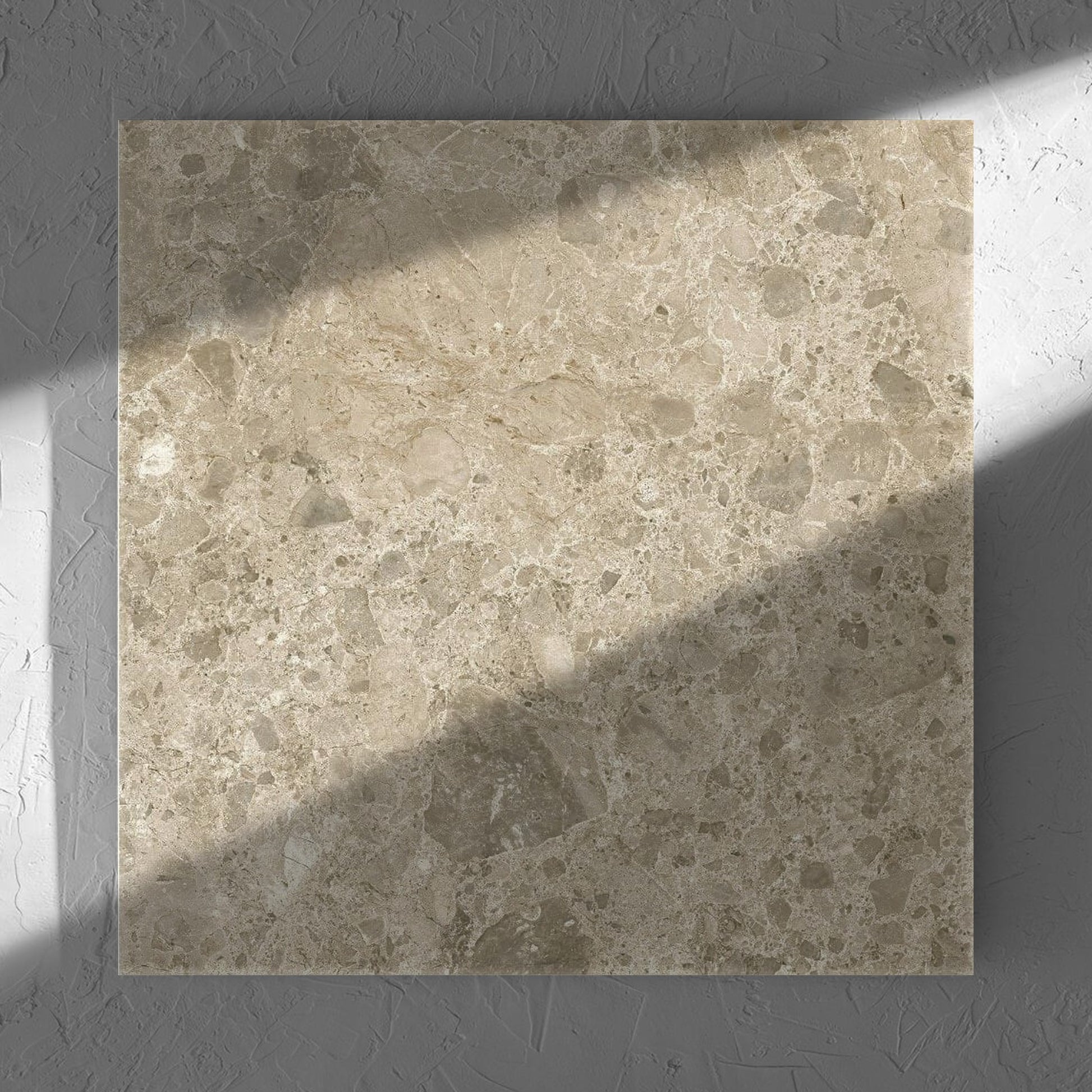 Ceppo Dark Beige InOut 600x600mm tile in soft natural window light, showing the tile surface