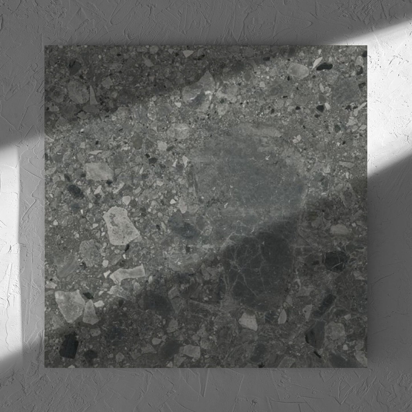 Ceppo Nero InOut 600x600mm tile in soft natural window light, showing the tile surface