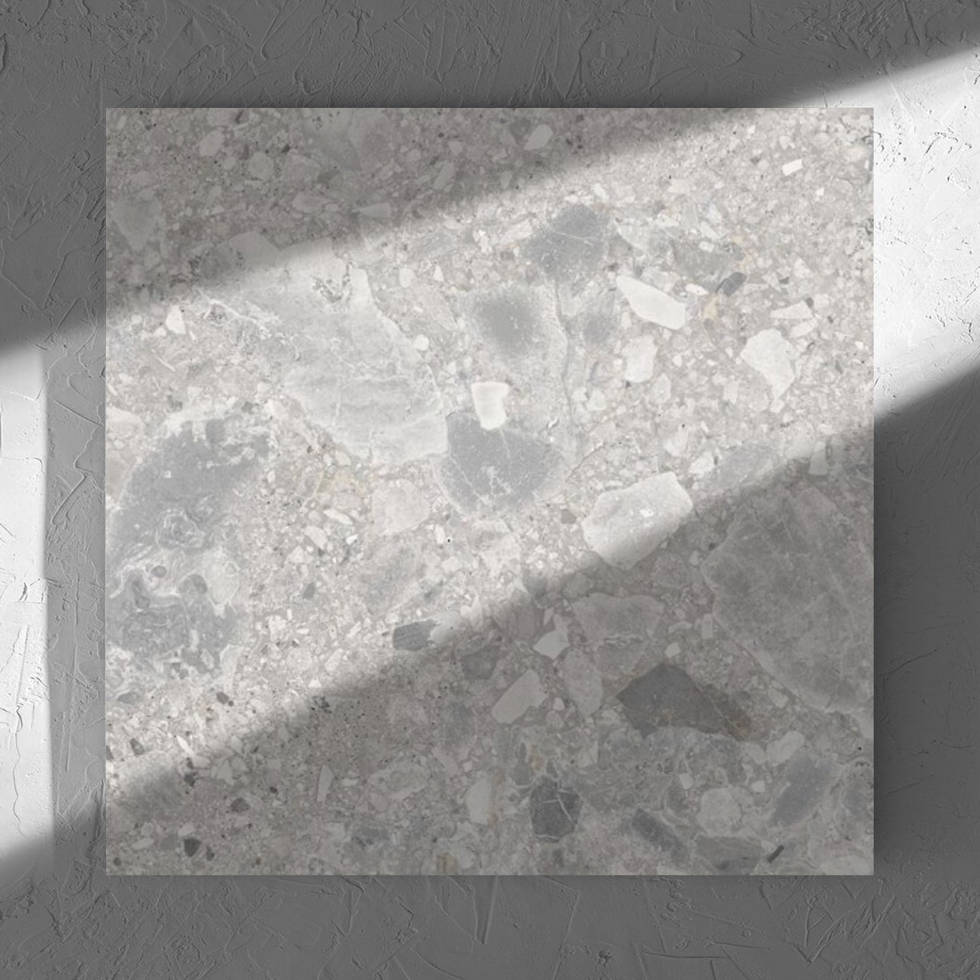 Ceppo Stone InOut 600x600mm tile in soft natural window light, showing the tile surface