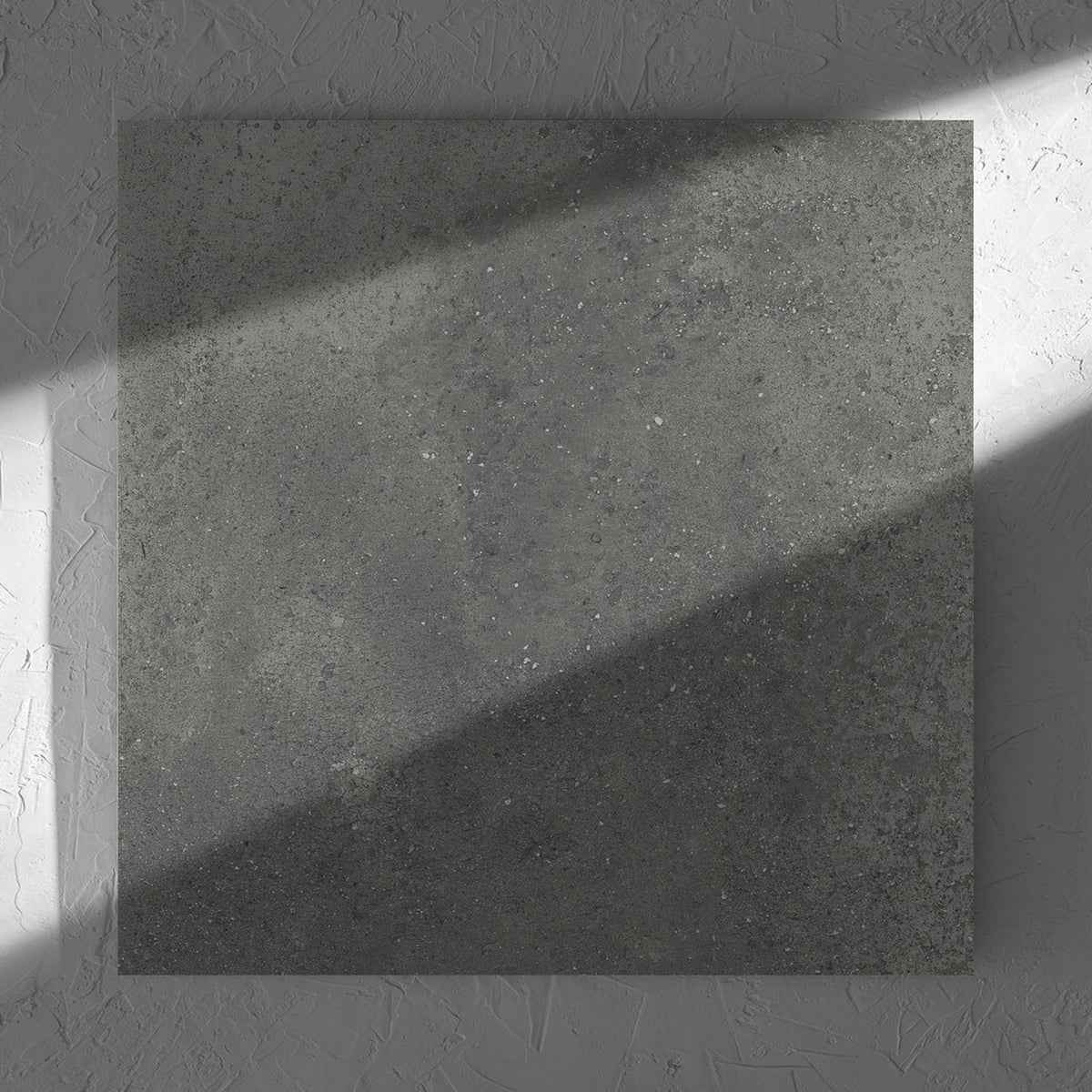 Imperial Dark Grey Matt 600x600mm tile in soft natural window light, showing the tile surface