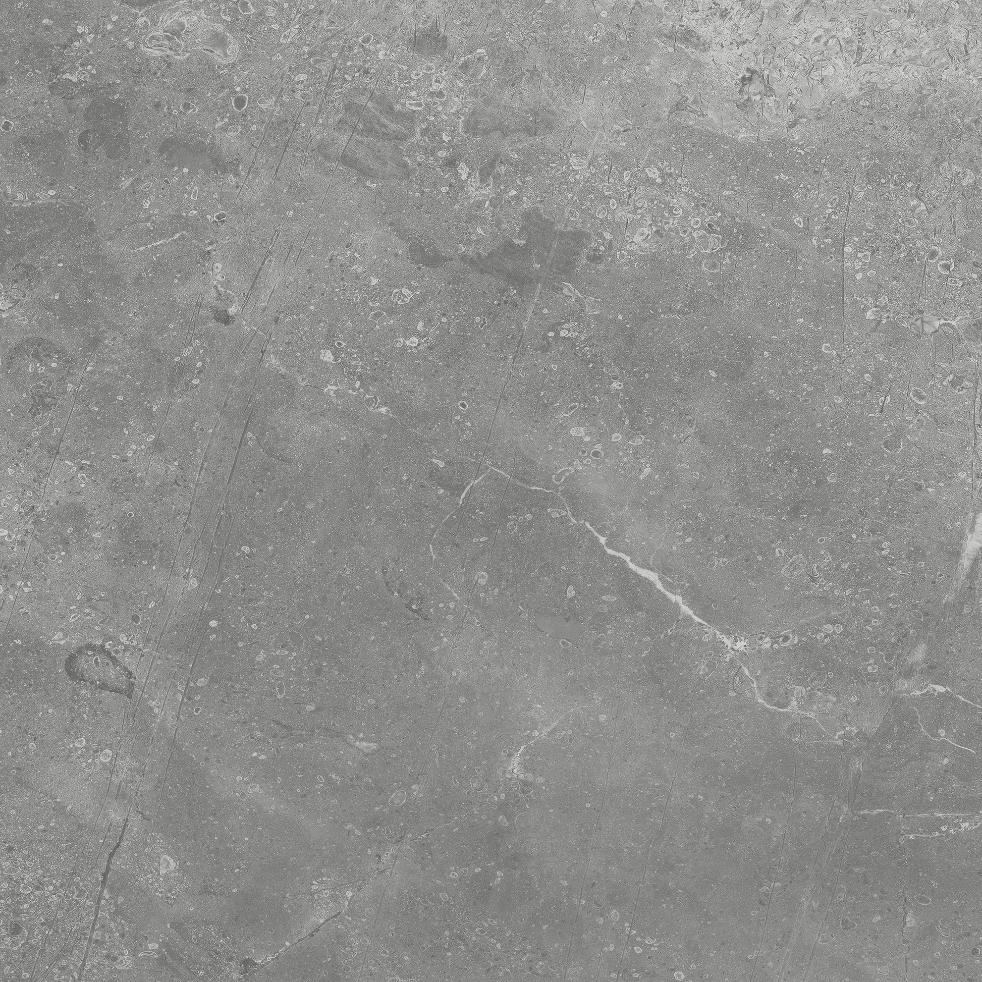 Kashmir Ash Matt 450x450mm
