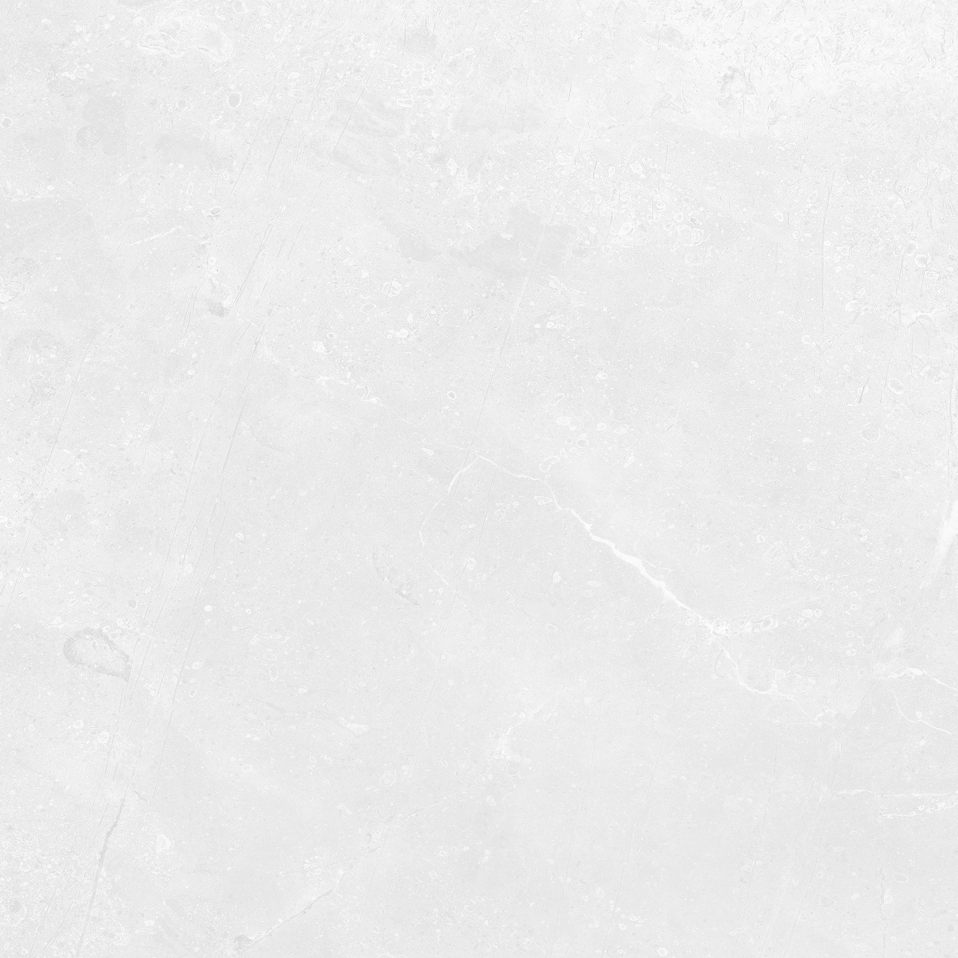 Kashmir Bone Gloss 300x450mm