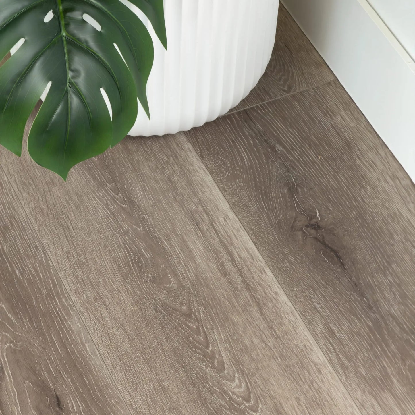 Close-up of Mystic Grey Urban Laminate 12mm Flooring 12mm installed in a modern room, showing realistic grey-brown oak wood grain texture with a white ribbed pot and monstera plant.