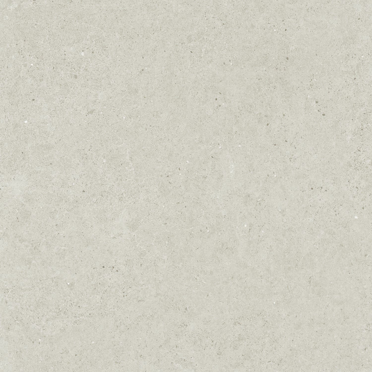 Close-up texture shot of Organic Pietra Lavica Birch 450x450mm tile showing a matte, light grey stone-effect surface with subtle speckled detailing.
