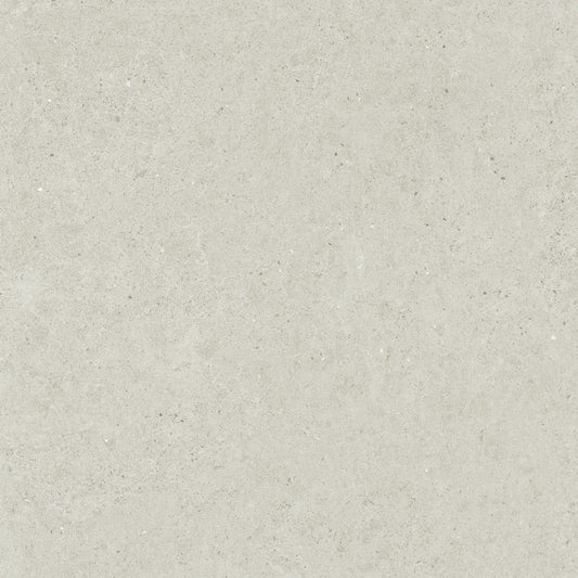 Close-up texture shot of Organic Pietra Lavica Birch 450x450mm tile showing a matte, light grey stone-effect surface with subtle speckled detailing.