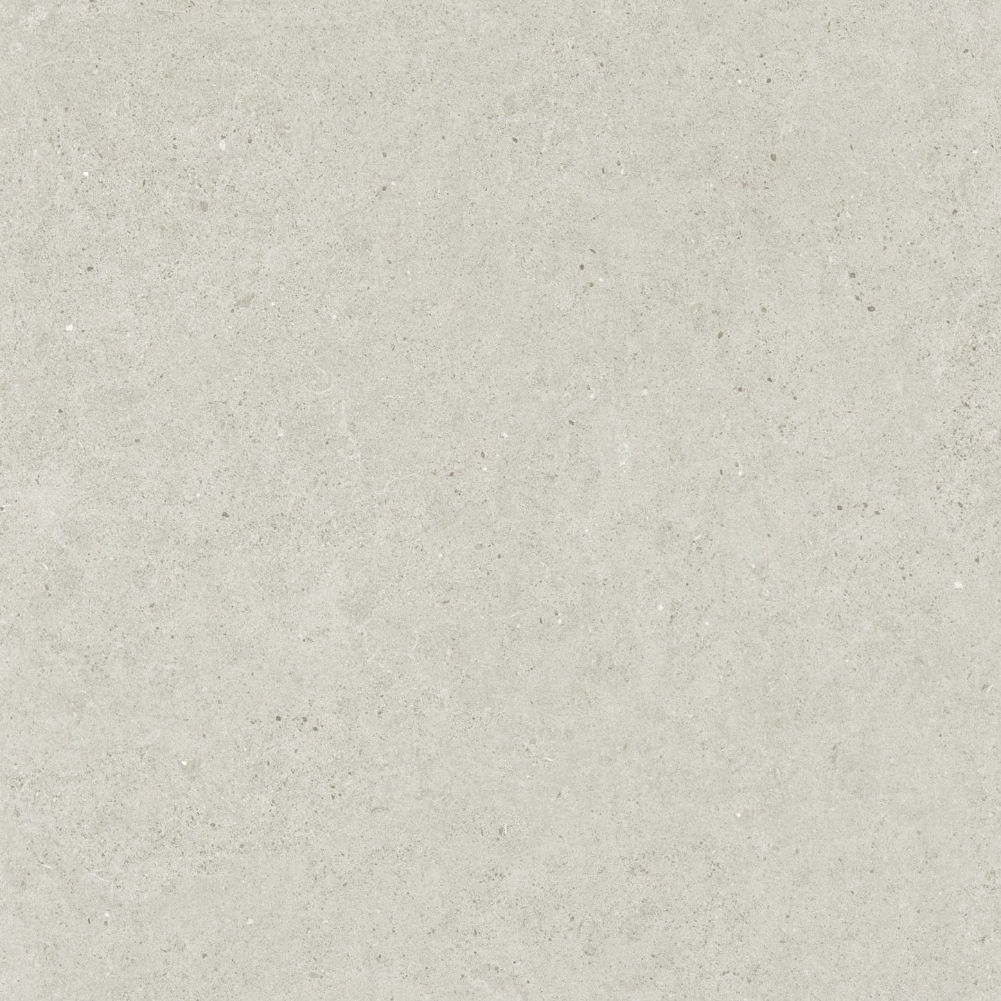 Close-up texture shot of the Organic Pietra Lavica Birch Matt 450x450mm tile, showing a light warm grey stone-effect surface with subtle speckled detailing and a smooth matt finish.