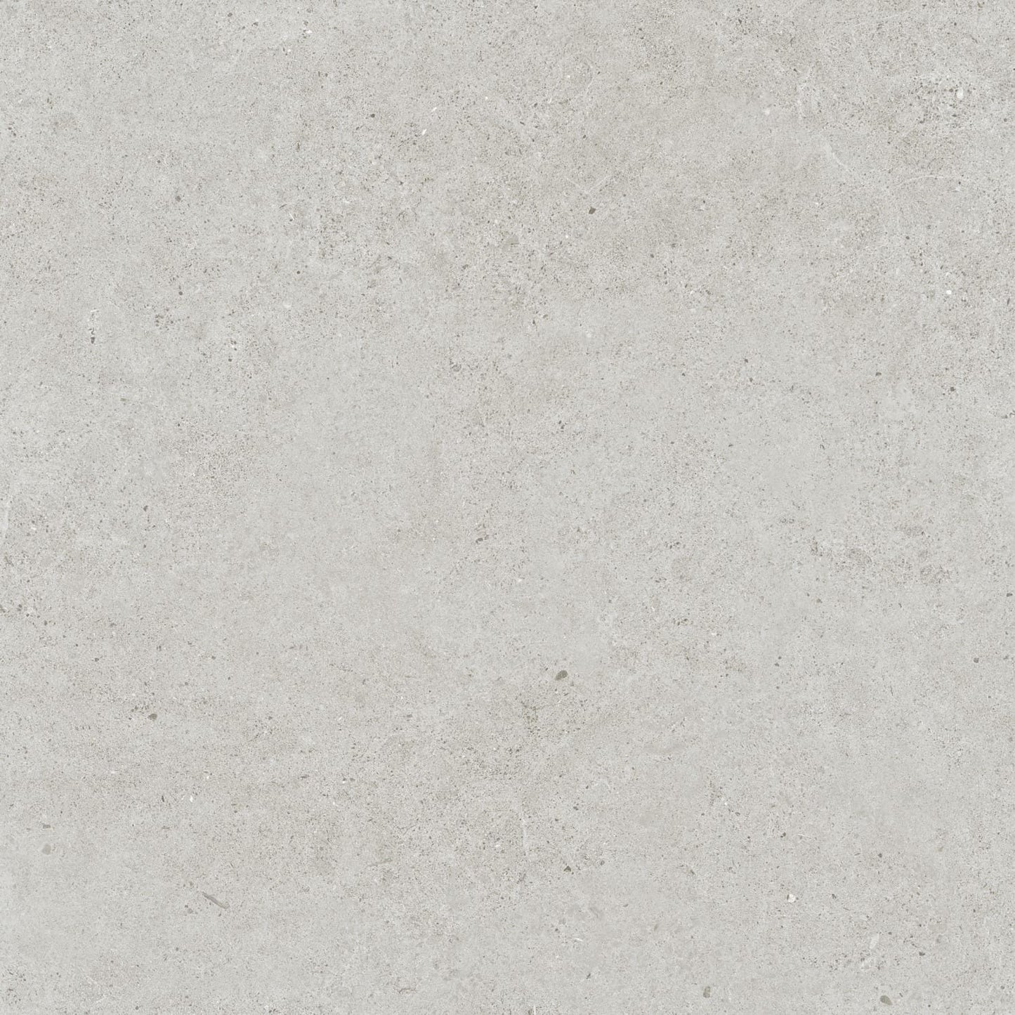 Close-up texture shot of Organic Pietra Lavica Glacier 450x450mm tile showing a smooth matte light grey stone-effect surface with subtle speckled detailing.