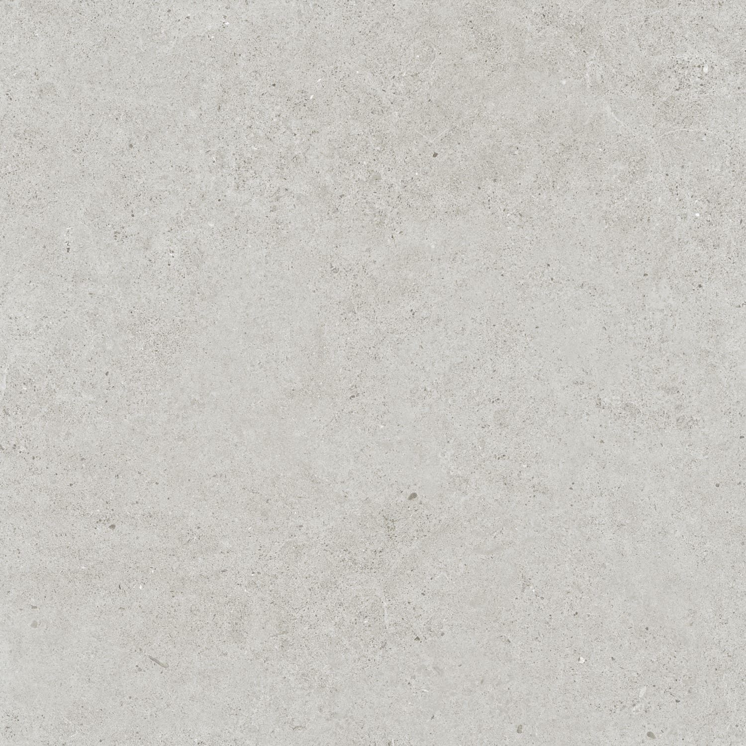 Close-up texture shot of Organic Pietra Lavica Glacier 450x450mm tile showing a smooth matte light grey stone-effect surface with subtle speckled detailing.