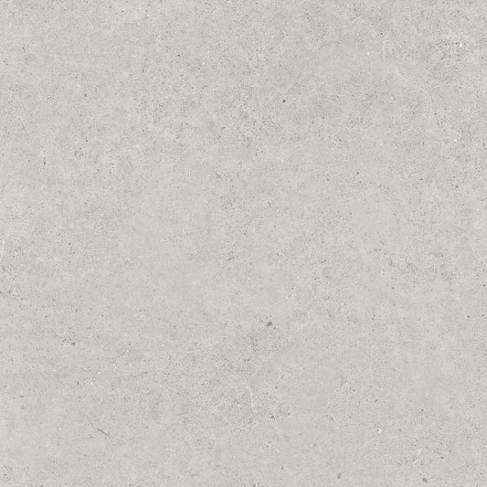 Close-up texture shot of Organic Pietra Lavica Glacier 450x450mm tile showing a smooth matte light grey stone-effect surface with subtle speckled detailing.