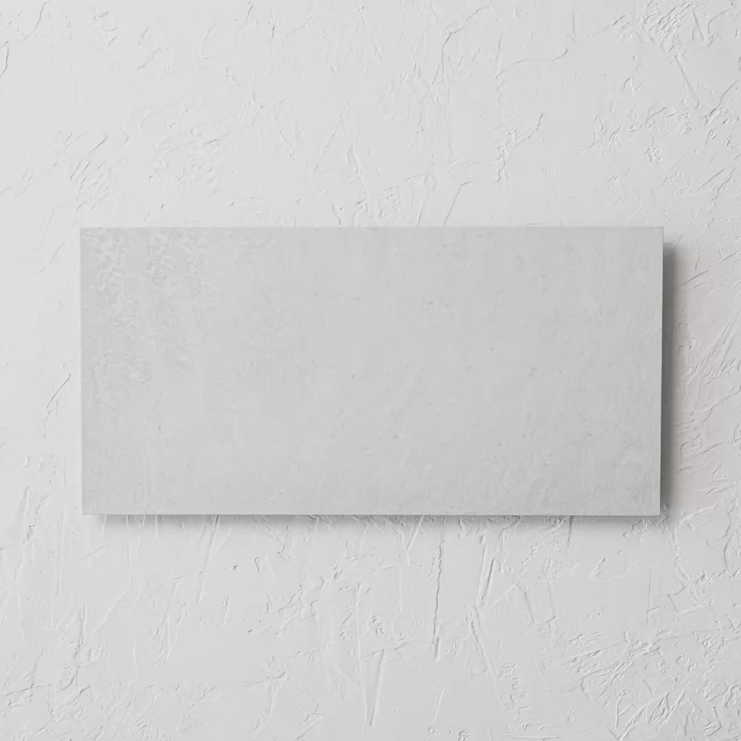 Zeus White Matt Rectified 300X600Mm tile shown in hand