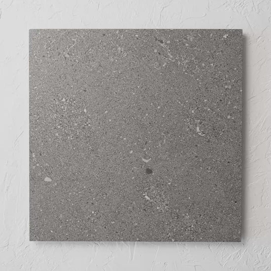 Shellstone Dark Grey Rectified 600X600Mm tile shown in hand