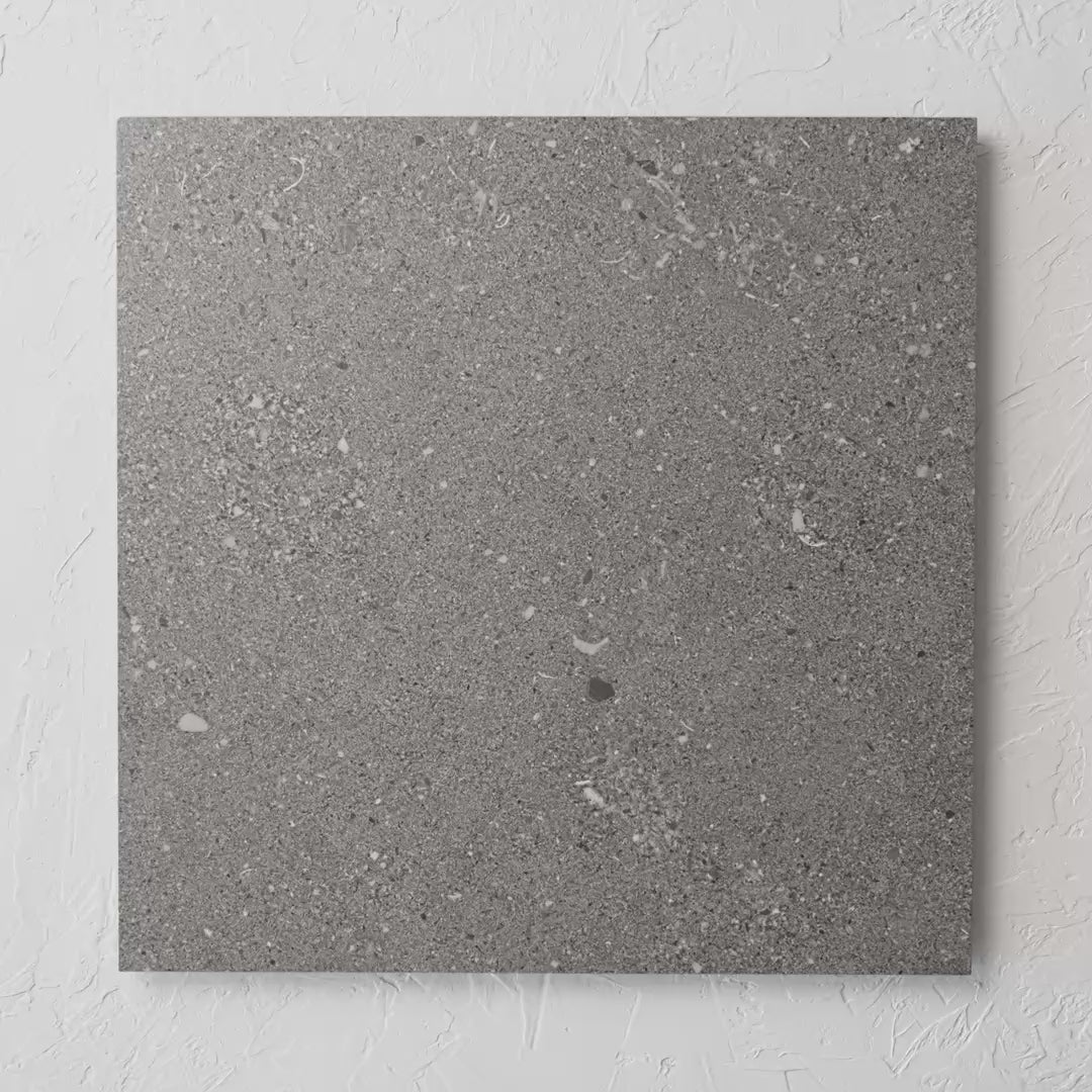 Shellstone Dark Grey Rectified 600X600Mm tile shown in hand