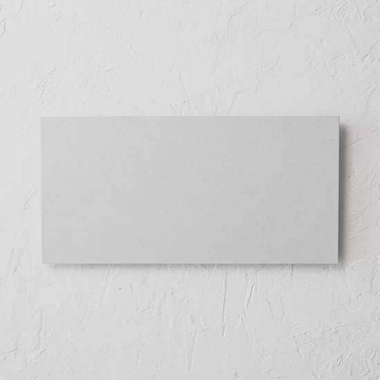 Moonstone Bianco Matte 300X600Mm tile shown in hand