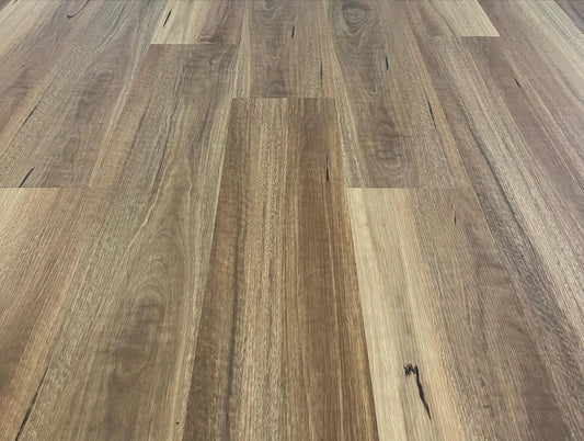 Close-up view of Queensland Spotted Gum Elegant SPC Hybrid 6.5mm Flooring 5+1.5mm showing warm brown tones, natural grain variation, and authentic timber texture across wide-format planks.