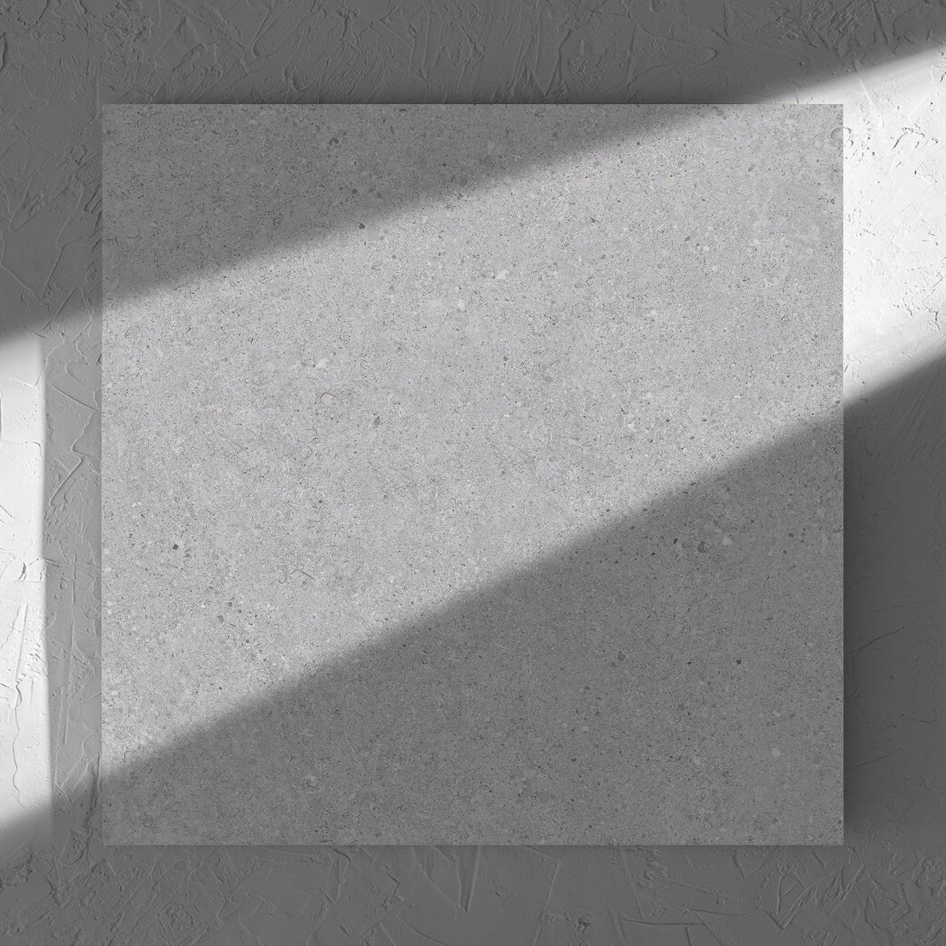 Terramix Silver Lappato 600x600mm tile in soft natural window light, showing the matt surface