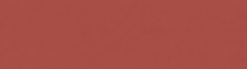 VitrA Coral Matt 100x300mm tile