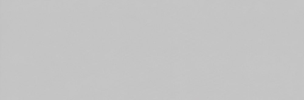 VitrA Light Grey Gloss 100x300mm tile