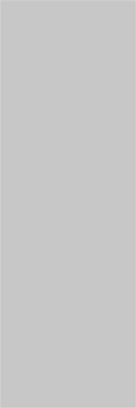 VitrA Light Grey Matt 100x300mm tile