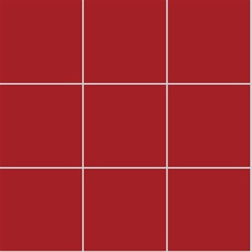 VitrA Red Matt Mosaic 100x100mm mesh sheet